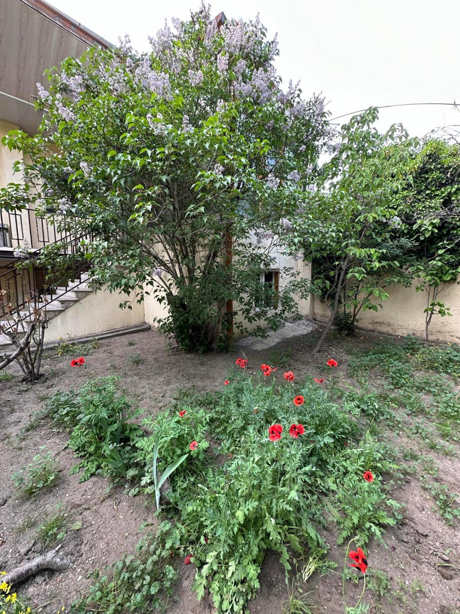 Popock City Center Yerevan Exterior photo
