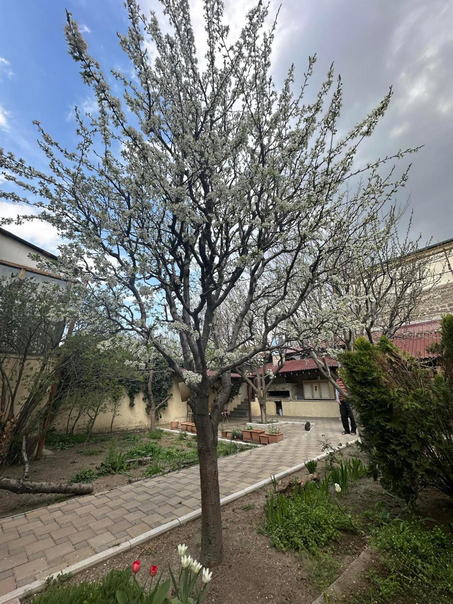 Popock City Center Yerevan Exterior photo